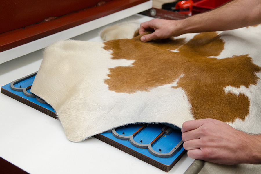 Dekoratives Bild Dekoratives Bild