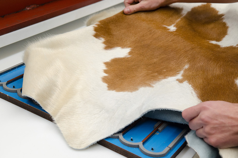 Dekoratives Bild Dekoratives Bild